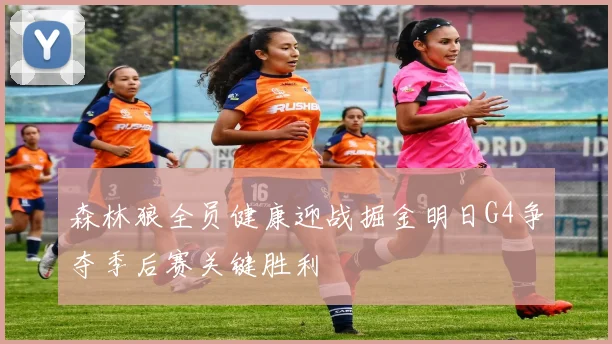 森林狼全员健康迎战掘金明日G4争夺季后赛关键胜利